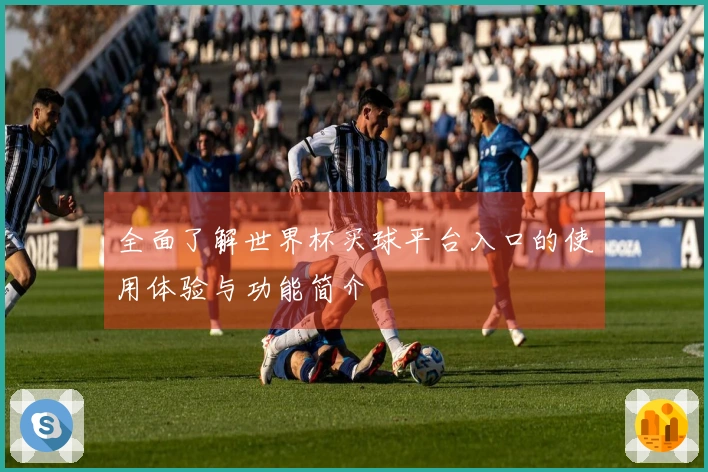 全面了解世界杯买球平台入口的使用体验与功能简介