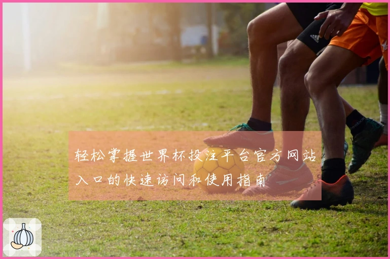 轻松掌握世界杯投注平台官方网站入口的快速访问和使用指南
