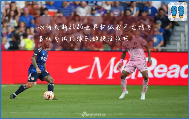 如何判断2026世界杯体彩平台的可靠性与热门球队的投注技巧