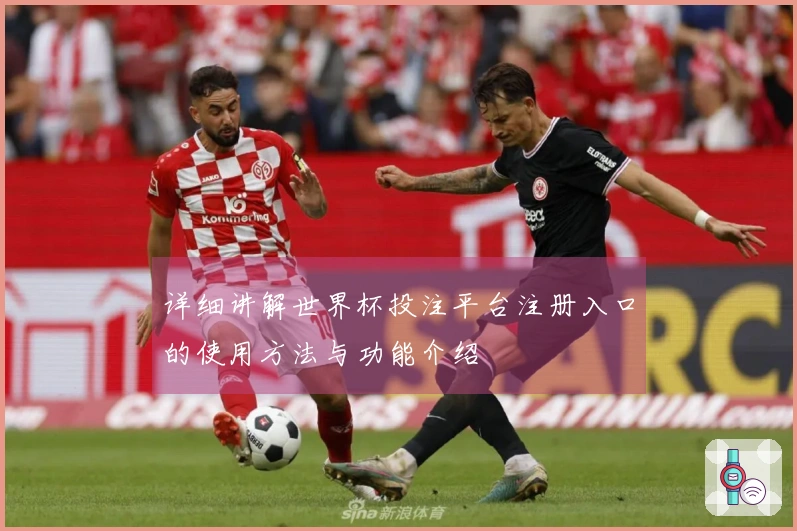 详细讲解世界杯投注平台注册入口的使用方法与功能介绍