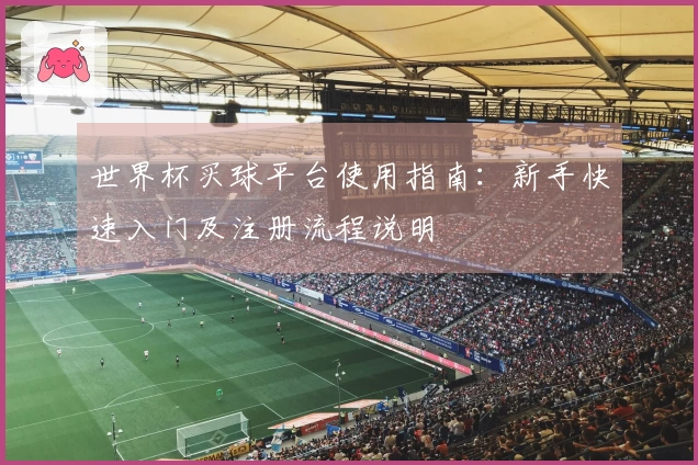 世界杯买球平台使用指南：新手快速入门及注册流程说明