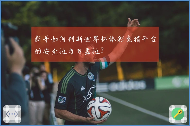 新手如何判断世界杯体彩竞猜平台的安全性与可靠性？