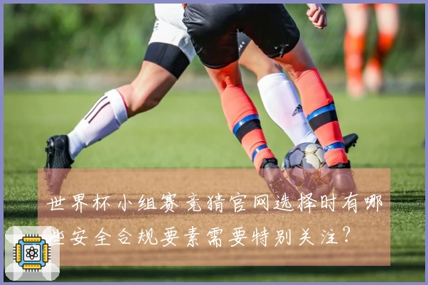 世界杯小组赛竞猜官网选择时有哪些安全合规要素需要特别关注？
